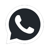 OGWhatsapp logo