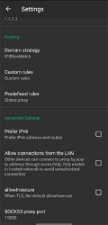 100MB VPN screenshot