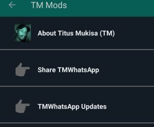 Tap on "TM WhatsApp Updates"