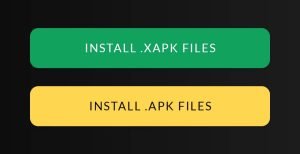 click on Install .XAPK Files