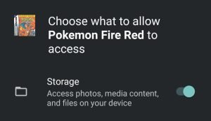 enable storage access