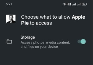 Apple Pie asks for Storage Access