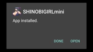 Shinobi Girl Mini successfully installed