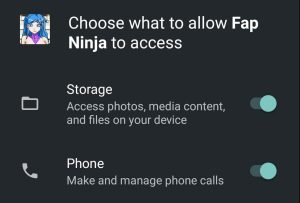 enable phone and storage access for Fap Ninja