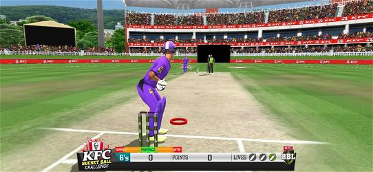 Big Bash Cricket screenshot