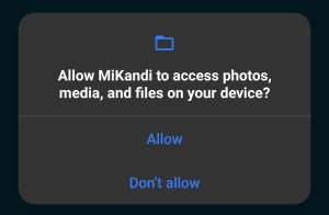 allow access to photos, media and files