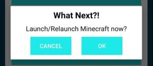 confirm launching Minecraft