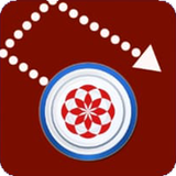 Aim Carrom logo