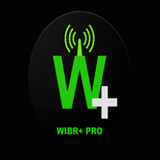 WIBR+