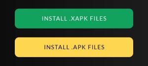 install XAPK File