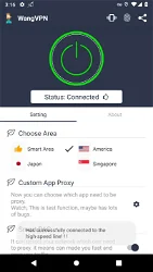 Wang VPN screenshot