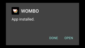 Wombo AI Mod successfully installed