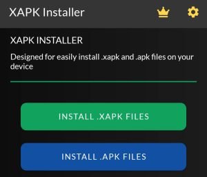 install XAPK Files