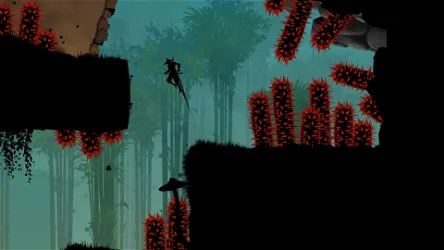 Ninja Arashi 2 screenshot