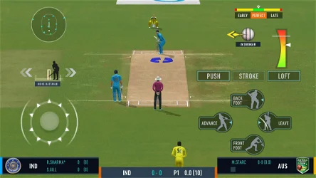 Real Cricket 24 screenshot