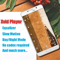 Xvid Video Codec Player screenshot