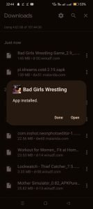 Bad Girls Wrestling Rumble apk installed
