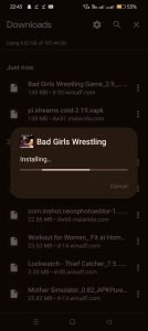 Bad Girls Wrestling Rumble