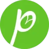 Green Pista logo