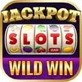 Slot Jackpot Monitor